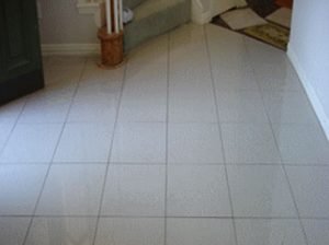 Contractor Specializing
