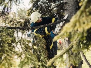 Good Hands Tree Service