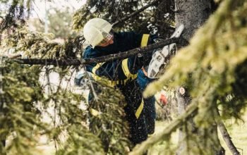 Good Hands Tree Service