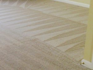 Hurst TX Carpet Cleaning