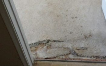 Premier Carpet Services & Home Repair