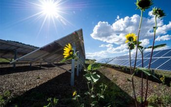 Renewable Electricity