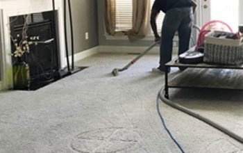 Sunbird Carpet Cleaning