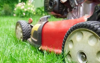 Thompson Landscape Services Inc