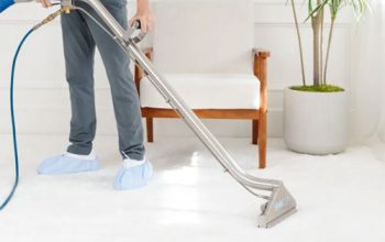 Zerorez Carpet Cleaning Dallas