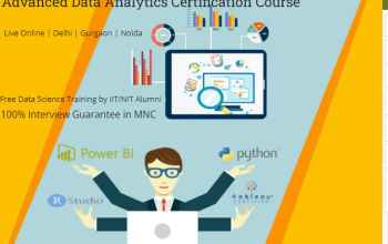 Data Analytics Course in Delhi, 110085.Best Online