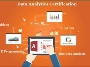 Job Guarantee Data Analyst Course in Delhi, 110060