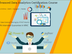 Best Data Analyst Course in Delhi, SLA 110095.